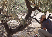 Vanessa Brewer, Environmental Scientist-Sierrita, digs out the invasive buffelgrass from the roots.