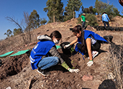Around the Company in Pictures: Improving quality of life one tree at a time