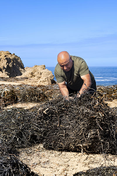 Sergio Carvajal, a member of the Punta Atala Fishermen’s Union, gathers seaweed waste that will be used for compost as part of a new initiative.
