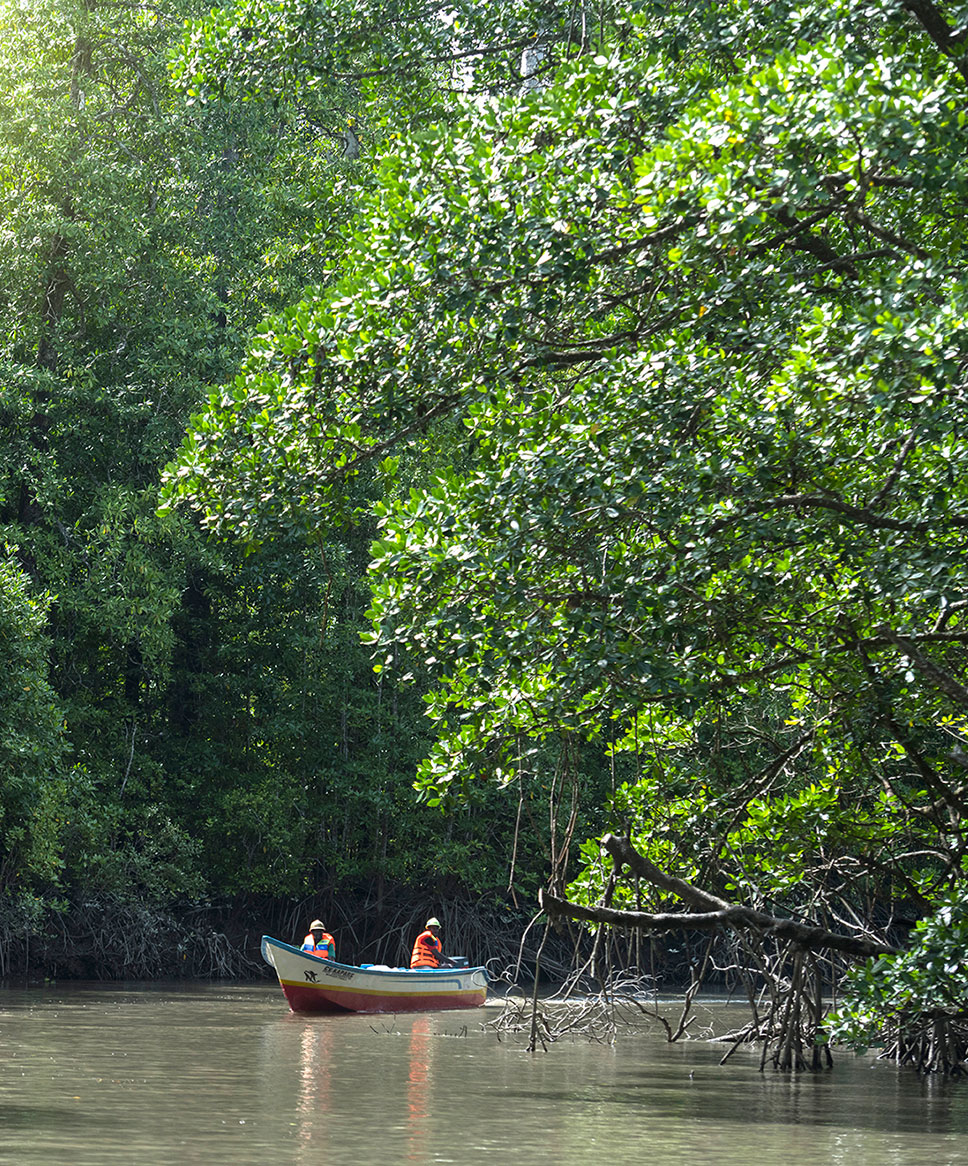 Members of the PT-FI environmental team conduct estuary monitoring and sampling near our operations in Papua, Indonesia