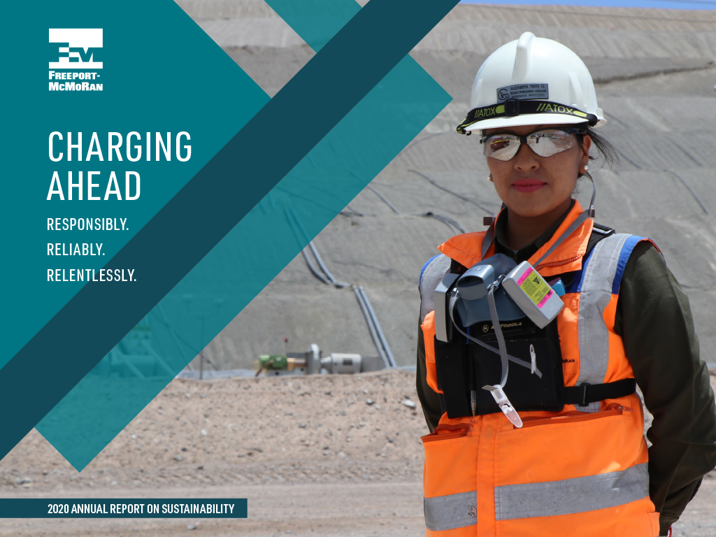 2020 Annual Report  on Sustainability