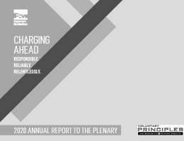 2020 Voluntary Principles Report to the Plenary