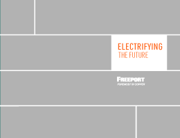 2021 Voluntary Principles Report to the Plenary pdf