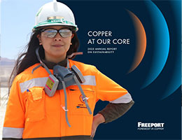  2025 Annual Report on Sustainability PDF and Online view