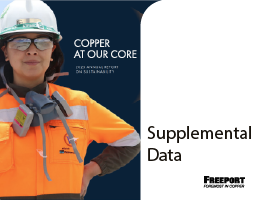 ESG Trend Performance Data 2024 xlsm file