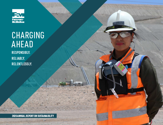 2020 Annual Report on Sustainability