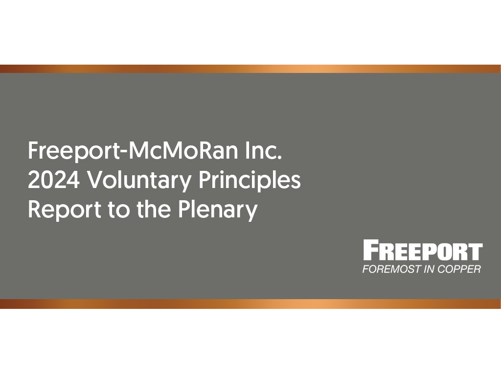 2024 Voluntary Principles Report to the Plenary