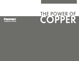2022 Voluntary Principles Report to the Plenary pdf