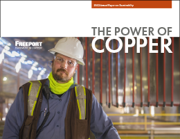  2022 Annual Report on Sustainability PDF and Online view