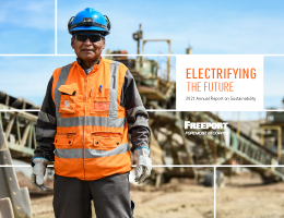  2021 Annual Report on Sustainability PDF and Online view